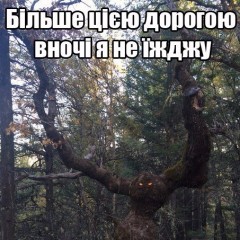 лісовик дух дерева біля дороги стереже свої володіння