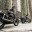 _Harley-Davidson Street