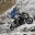 _BMW R 1200 GS